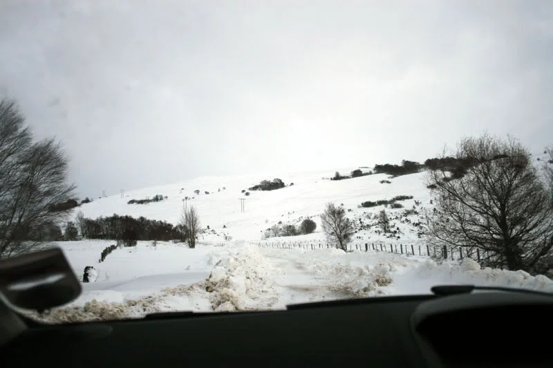 35.webp