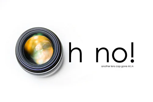 3515986161_f90b13cf16.webp