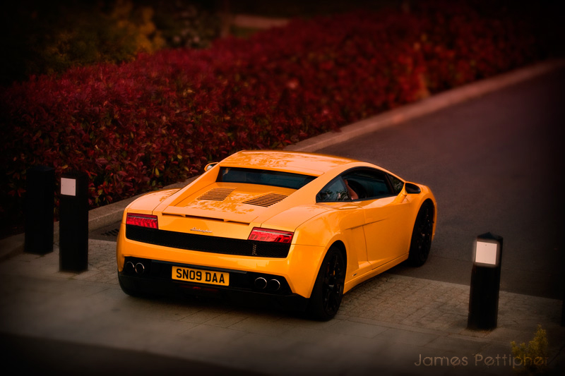 3519634743_0c16b88401_o.jpg 3519634743_0c16b88401_o.jpg