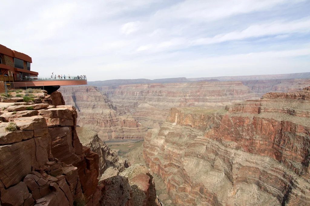3522672327_1e9d3c129c_b.webp