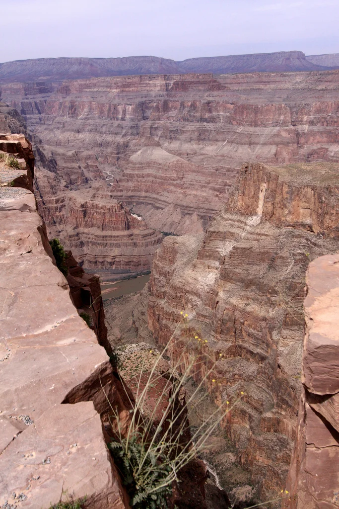 3523158249_f7d3191743_b.webp