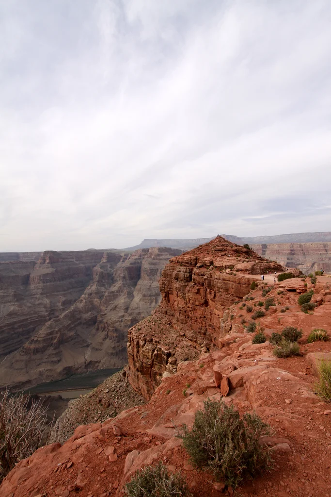 3524049424_74b64d505d_b.webp