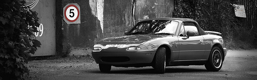 3531877924_0c3173d1f2.jpg