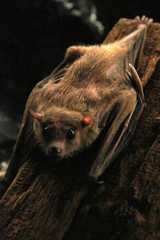 3552673700_d632cb6431_o.jpg 3552673700_d632cb6431_o.jpg