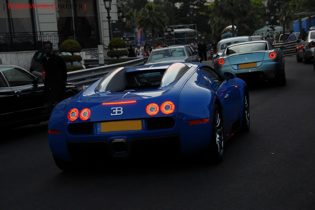 3566718496_95b29aff89_o.webp