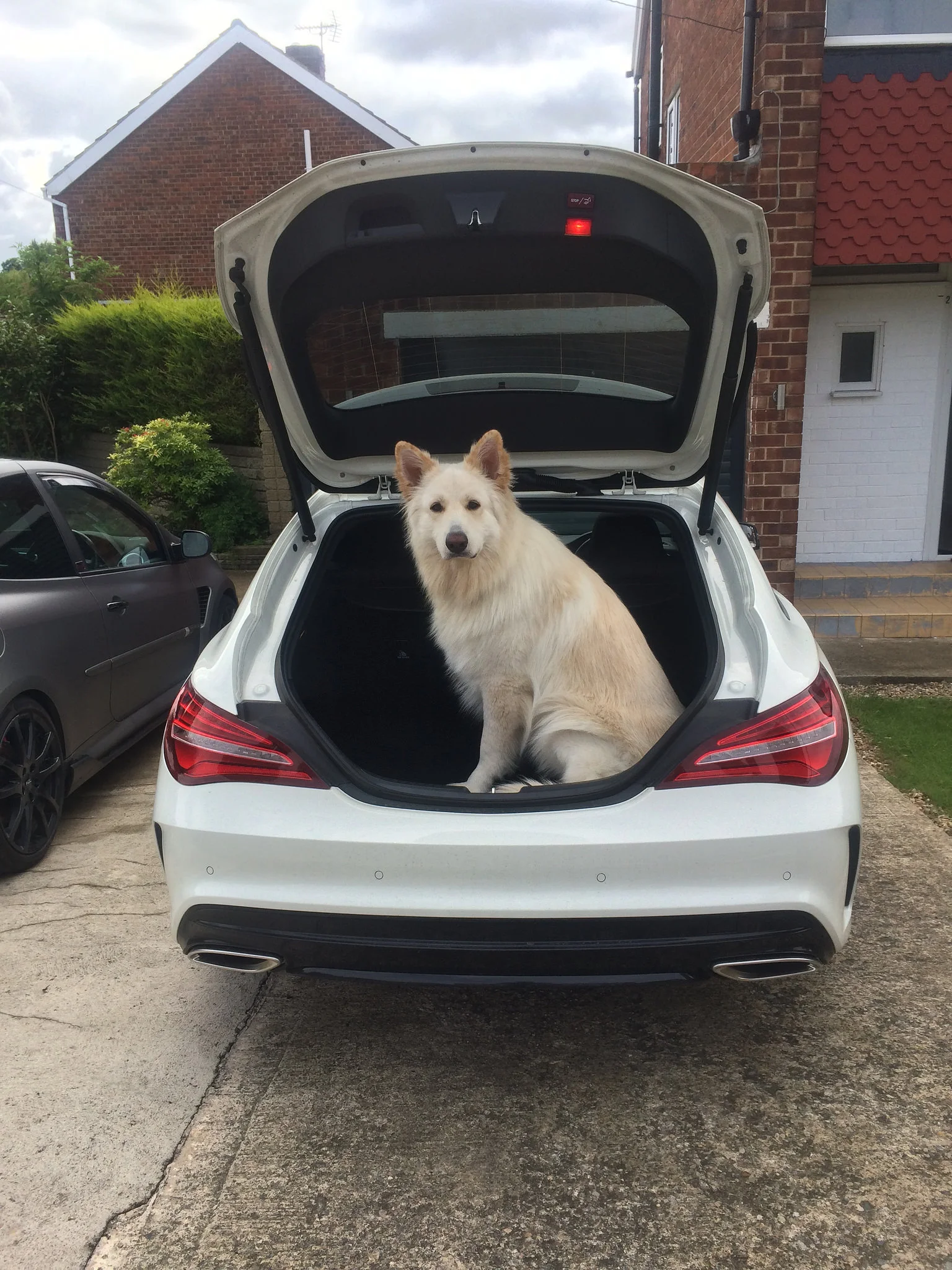 36351421721_ce6d4684ab_k.webp