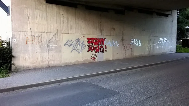 36422341091_a6c322a3fa_z.webp