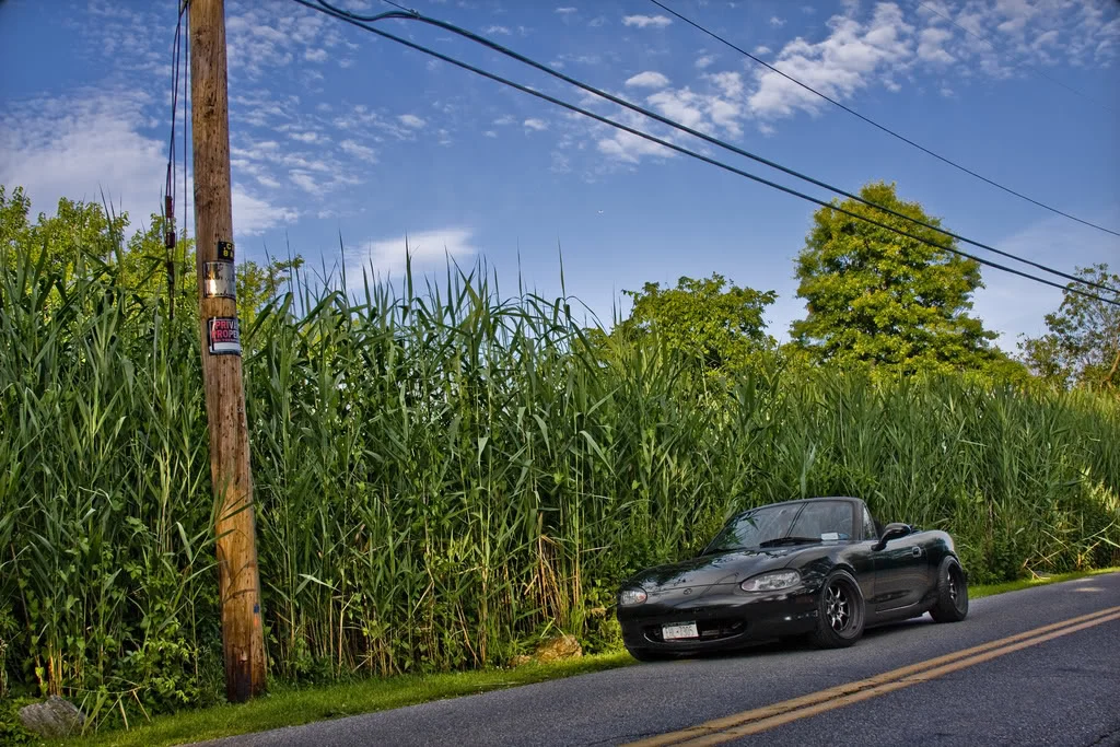 3692902907_c8d790ae8f_b.webp