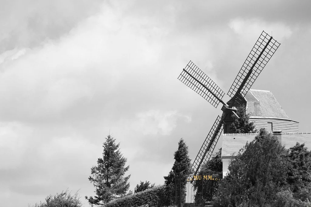 3757309101_c2d7f05e93_b.webp