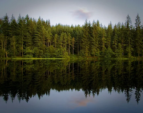 3769849515_54d646996e.webp