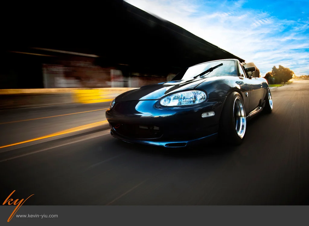 3806941555_17a6a7e3f3_b.webp