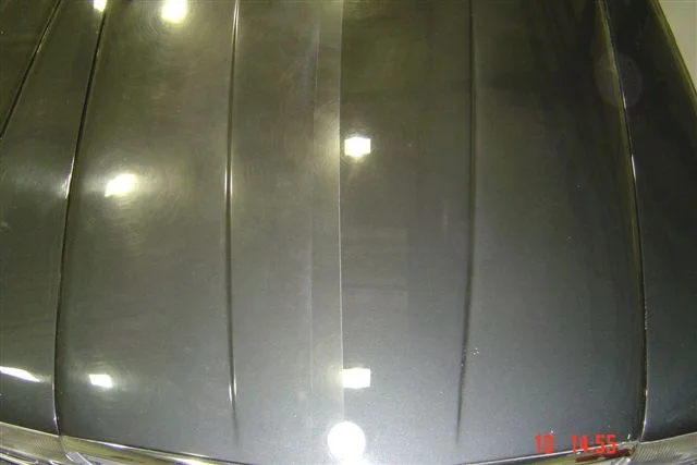 381566245_7f3dc81928_o.webp