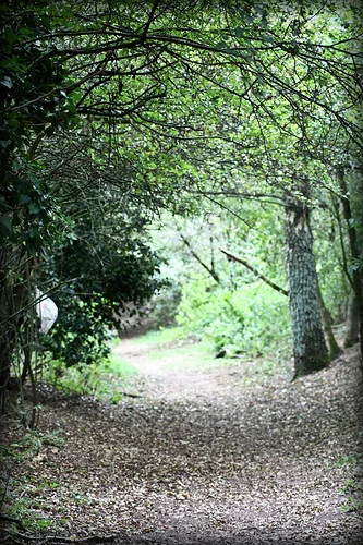 3926284348_802bfe1e30.webp