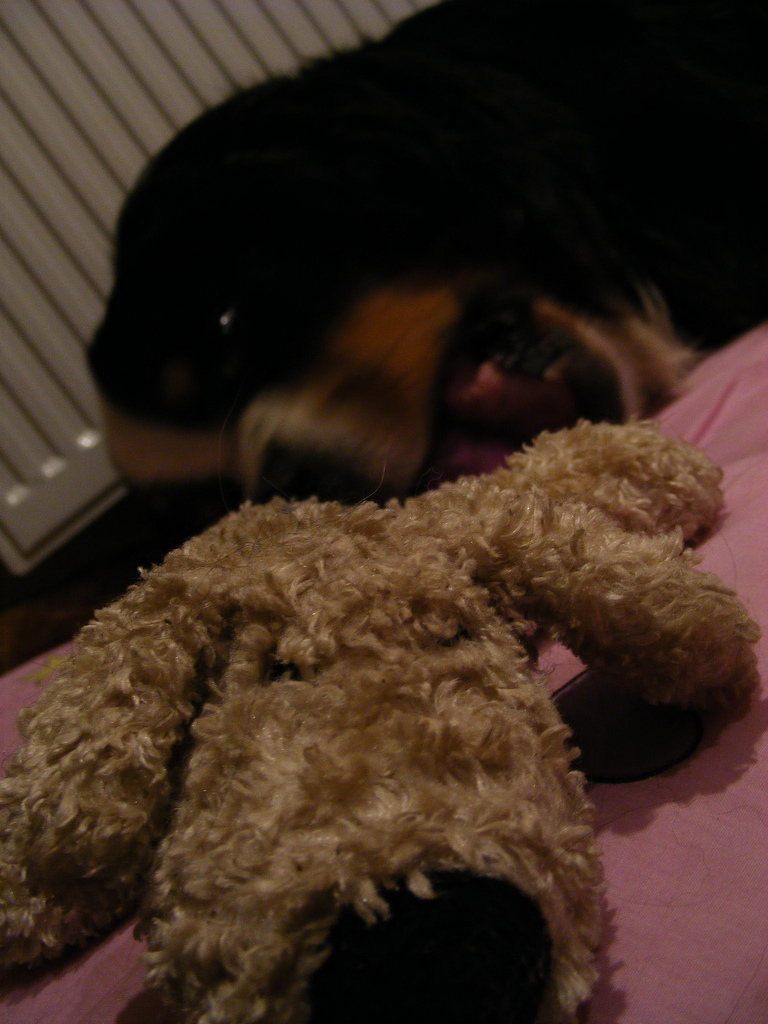 3932257415_fc60ec0d26_b.jpg 3932257415_fc60ec0d26_b.jpg