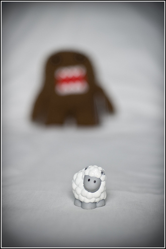 3933445963_b77fa9bcbb.jpg 3933445963_b77fa9bcbb.jpg