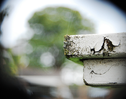 3934458886_c81b797229.jpg 3934458886_c81b797229.jpg