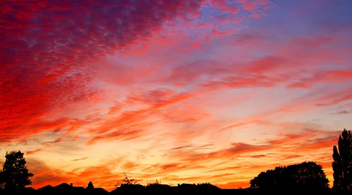 3951336746_29aaed62f7.webp