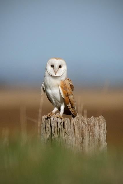 3b233c034fa0ae6a6a2f432d7947711c_c5.jpg