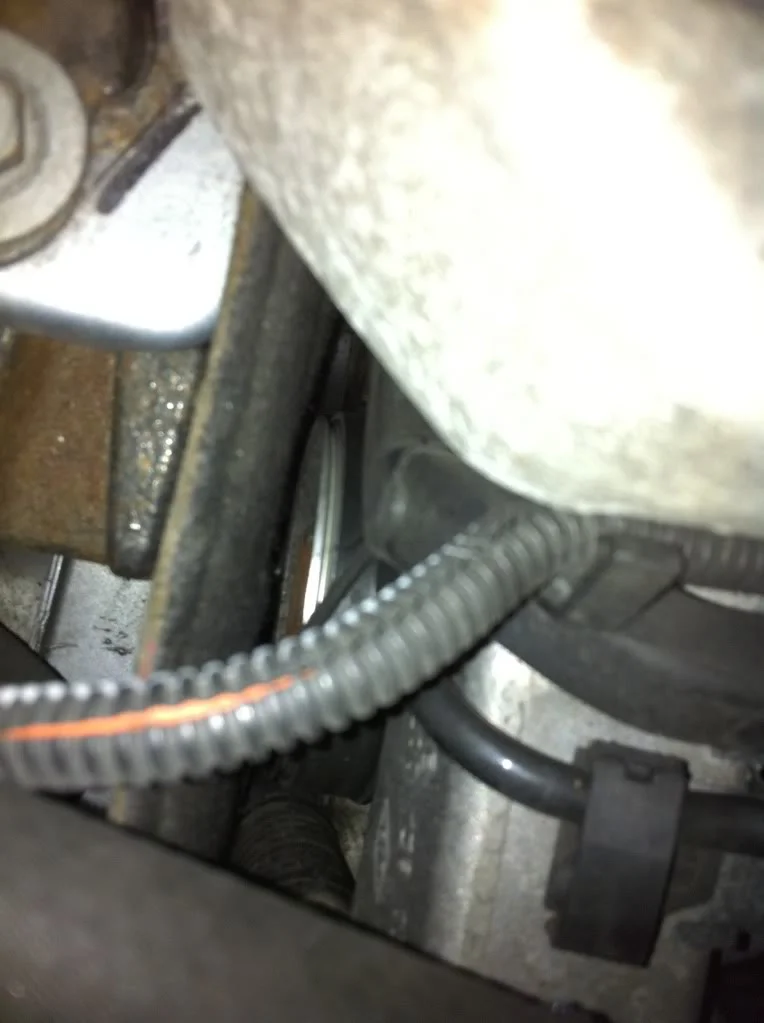 3cf7716d.webp