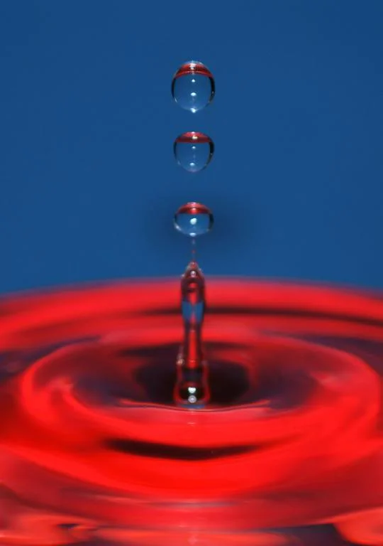 3sacrowd1.webp