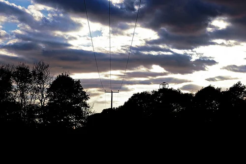 4015658213_181fa450b9.webp