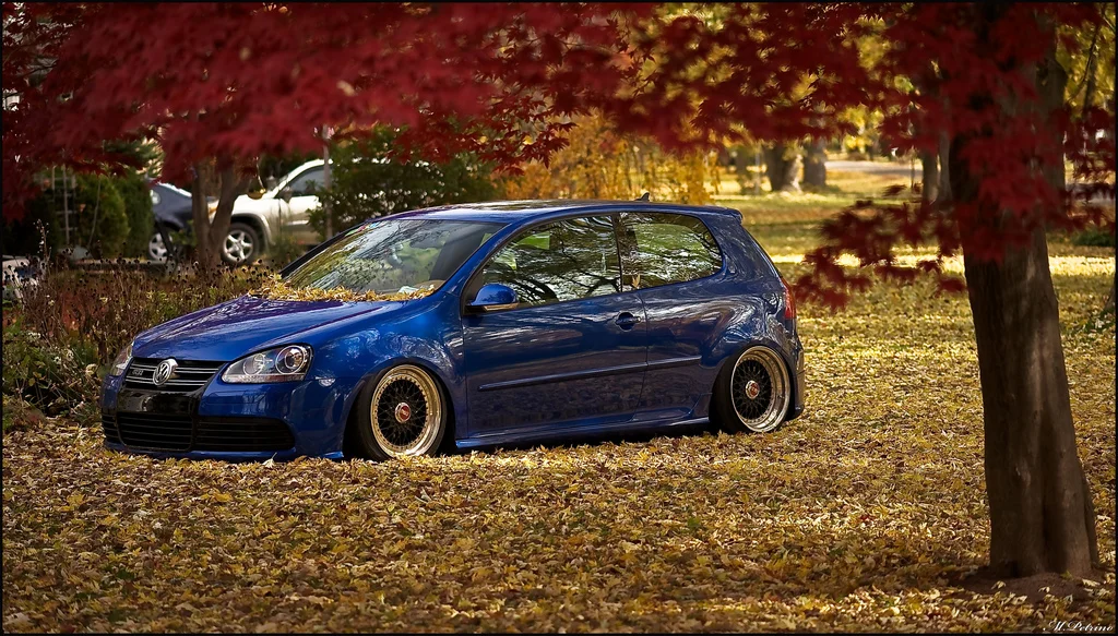 4050832094_a9a6dfb07e_b.webp
