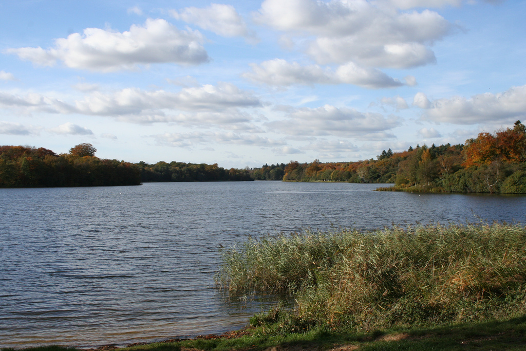 4073815729_05e1672a1f_b.jpg