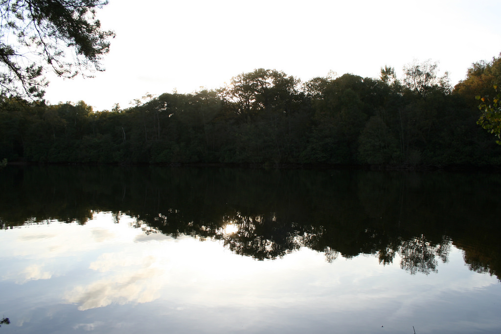 4074580672_57e8fd7d16_b.jpg