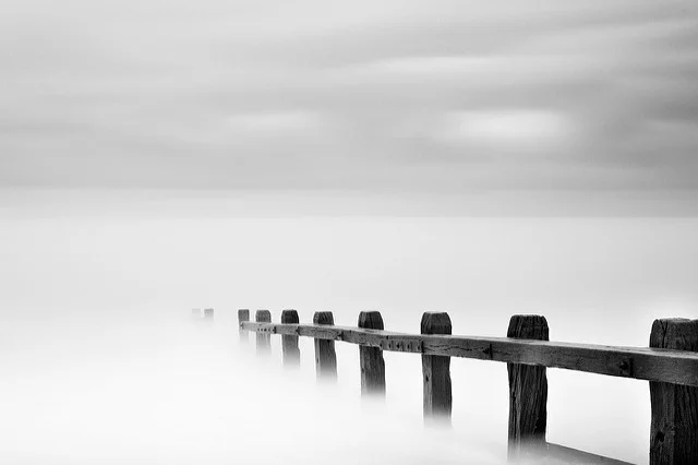 4087704410_aca0703851_z.webp