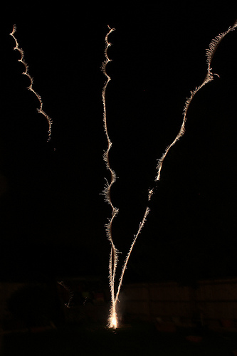 4088551207_b391223987.jpg