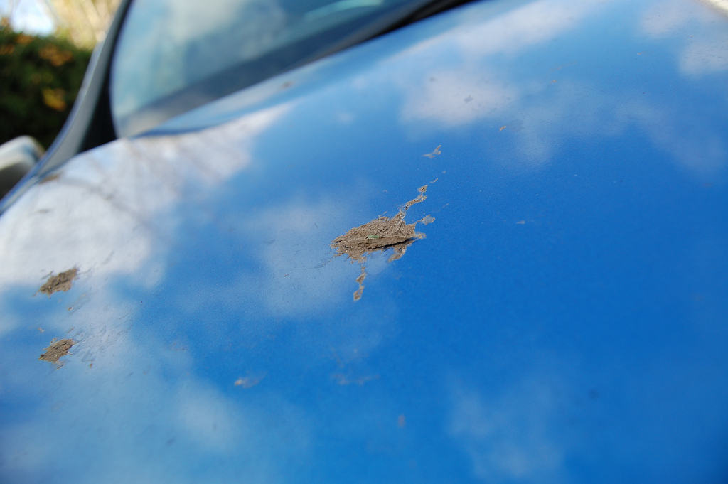 4111716773_a712c69f10_b.jpg 4111716773_a712c69f10_b.jpg