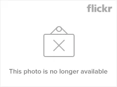 4135710622_9ebc193470_m.webp