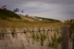 4166965513_7cfc66ef32_m.webp
