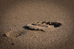 4167727970_66d55f9b1a_m.webp