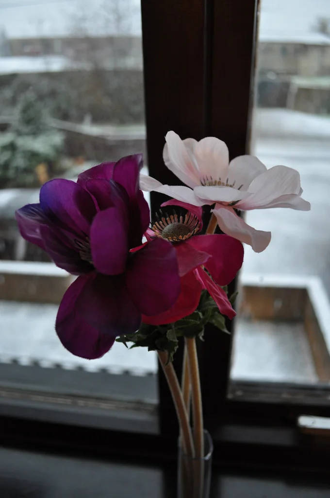 4209802012_6094c37ceb_b.webp