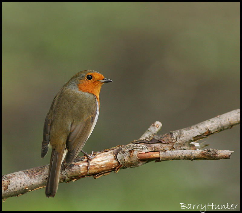 4214901532_15f5acee8d_o.jpg 4214901532_15f5acee8d_o.jpg