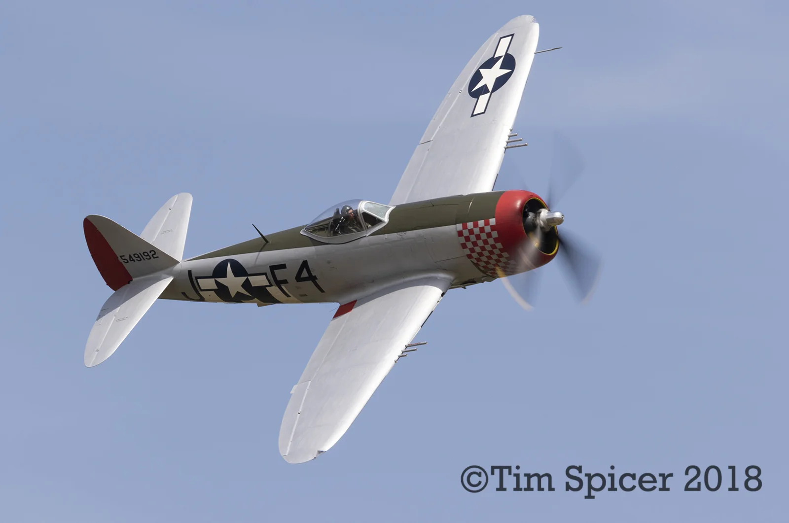 42254066595_5bfce8d1a1_h.webp