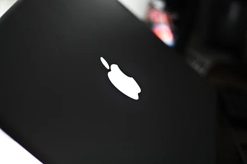 4234782944_366c3c6e42.webp