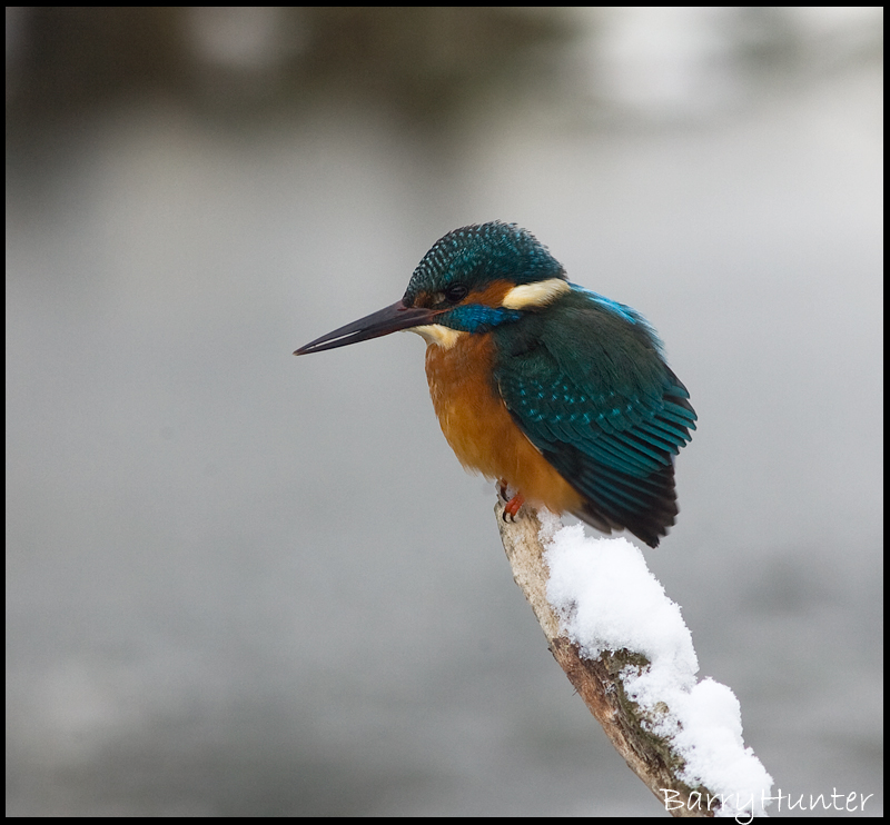 4258778391_20fa683559_o.jpg 4258778391_20fa683559_o.jpg