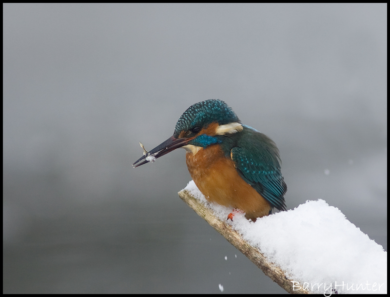 4258813959_86586336ab_o.jpg 4258813959_86586336ab_o.jpg