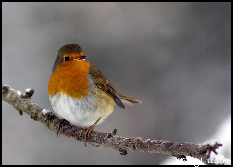 4258814159_013c25c18f_o.jpg 4258814159_013c25c18f_o.jpg