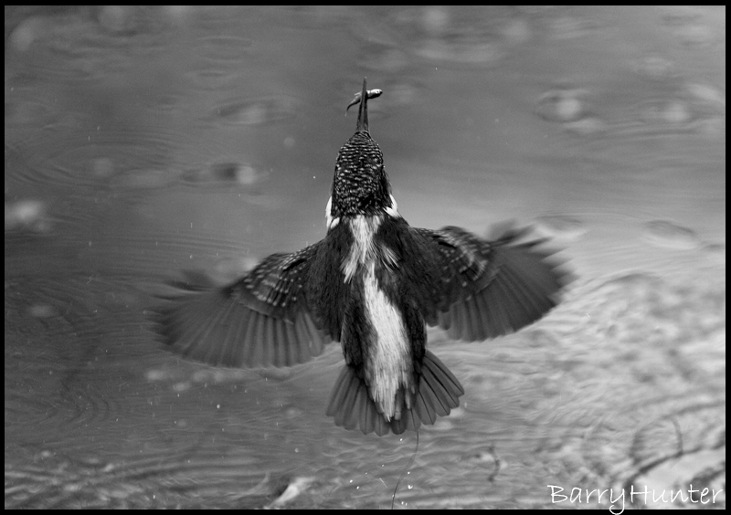 4259732804_621d0d9079_o.jpg 4259732804_621d0d9079_o.jpg