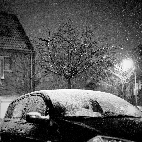 4266480783_fe5f434fc7.jpg 4266480783_fe5f434fc7.jpg