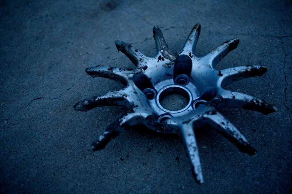 4323393713_b37e559d31_o.webp