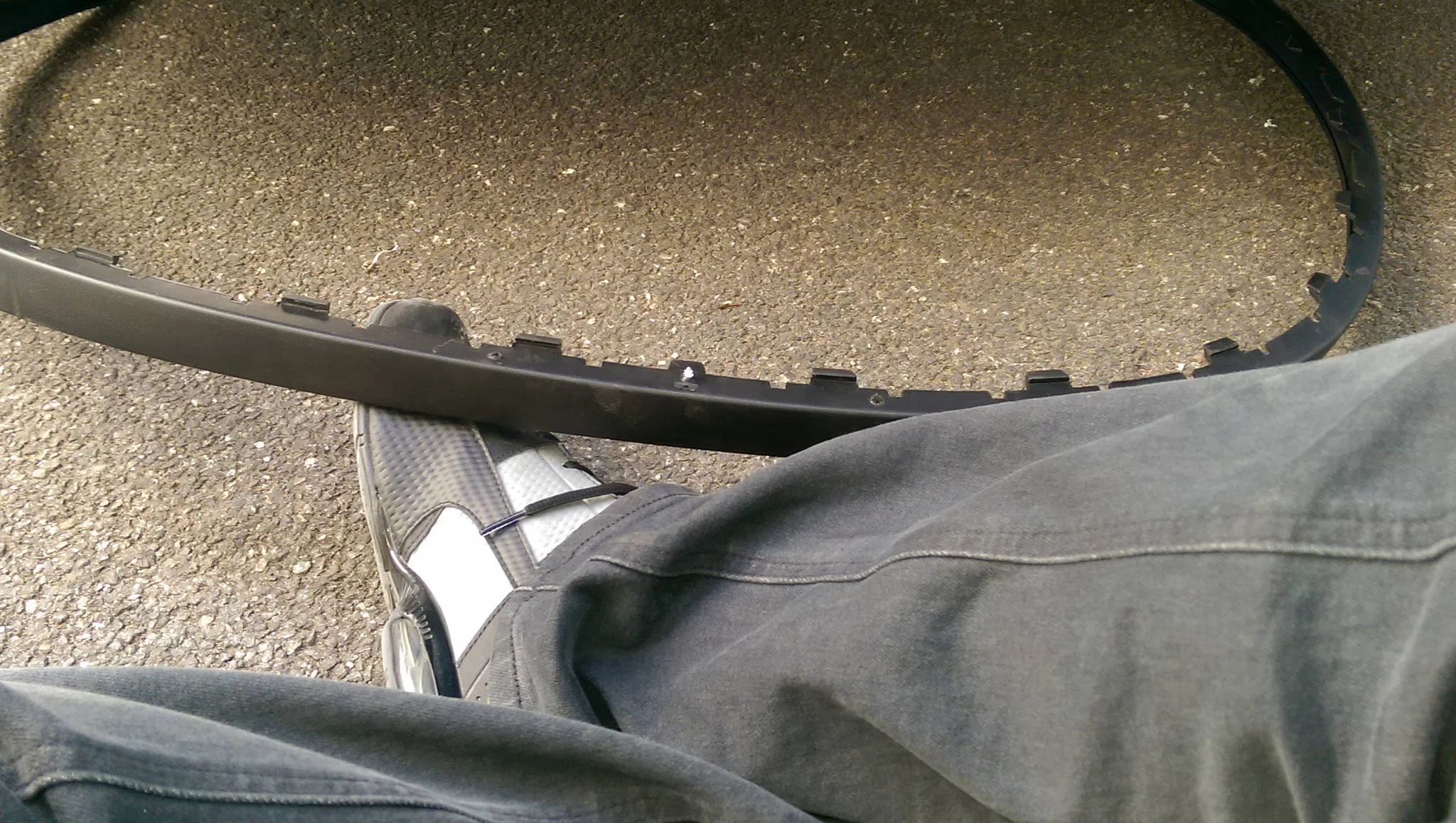 43389462440_d218bb7a72_k.webp