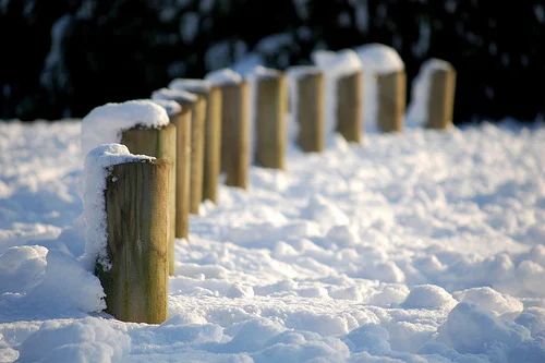 4347532466_01ec6cc290.webp