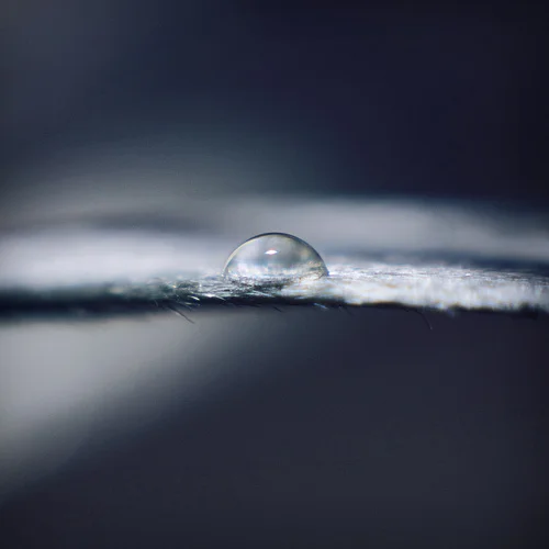 4363155504_f509ec8bf9.webp