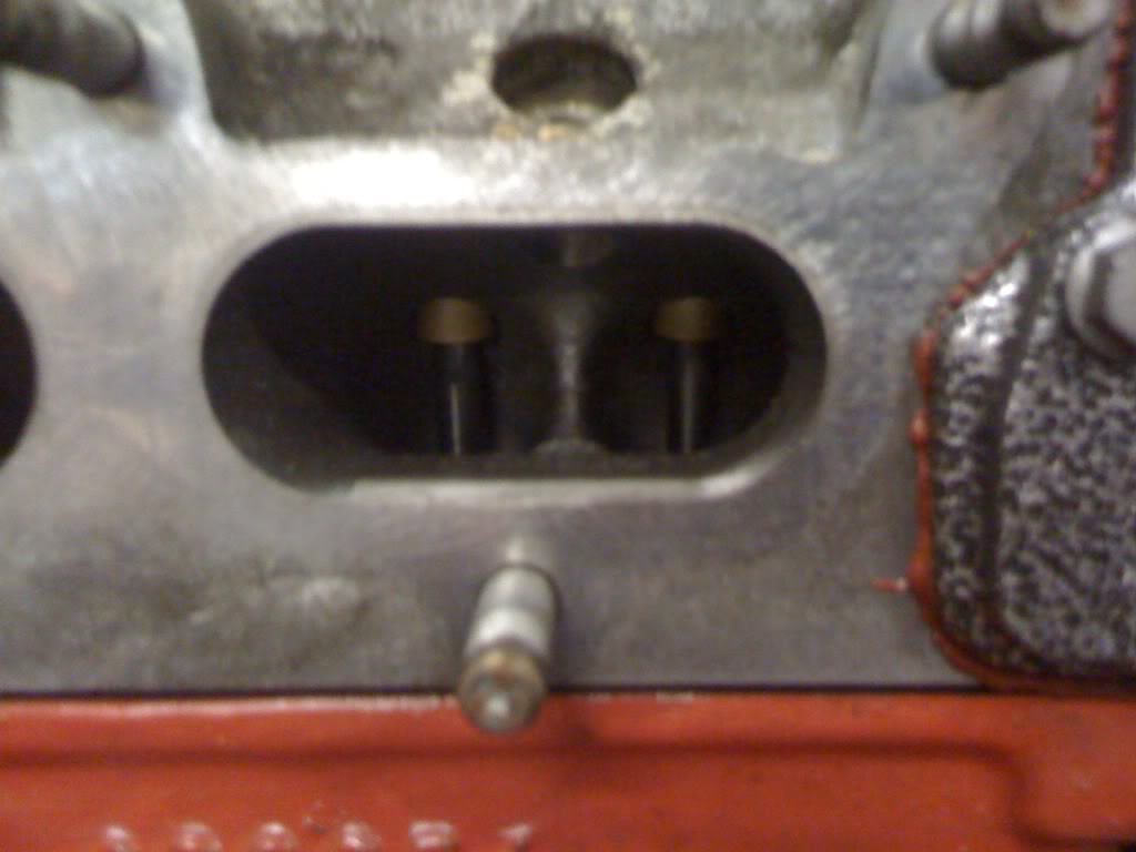 4390e59c.jpg