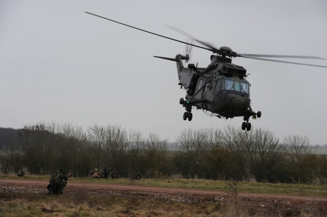 43Bde-2011-004095A.jpg