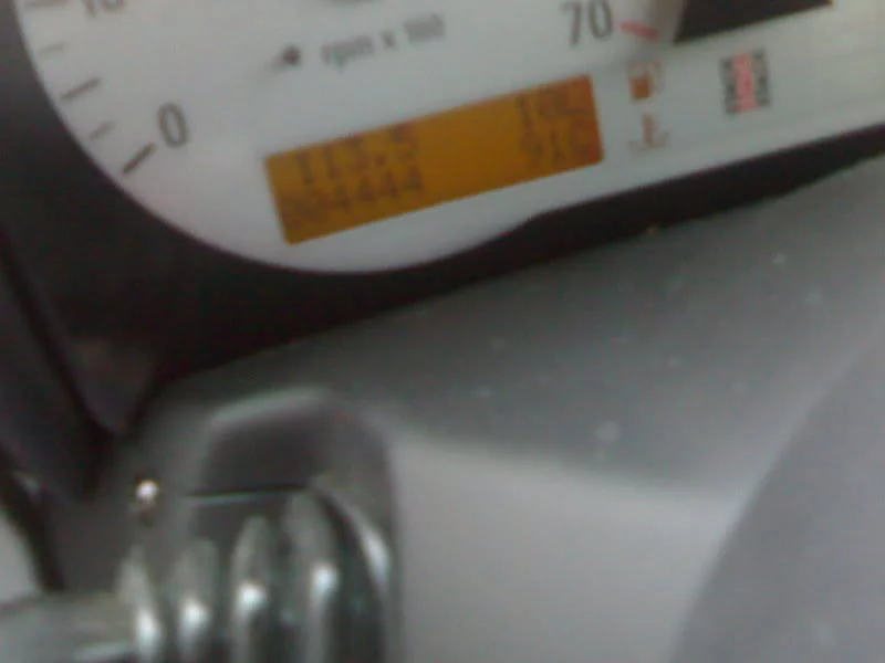 4444.webp